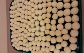 KJUB14