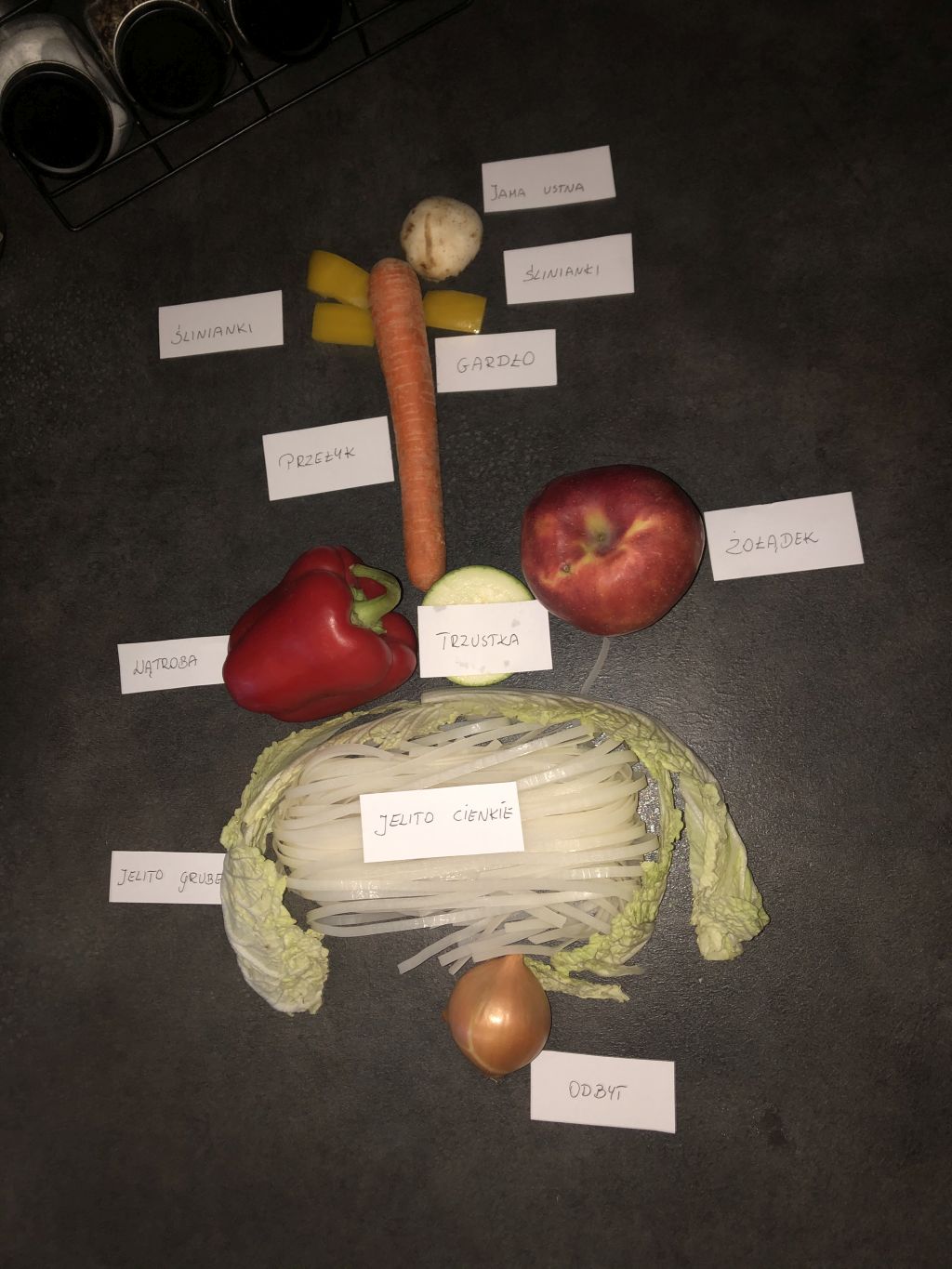 Układ pokarmowy ułożony z warzyw