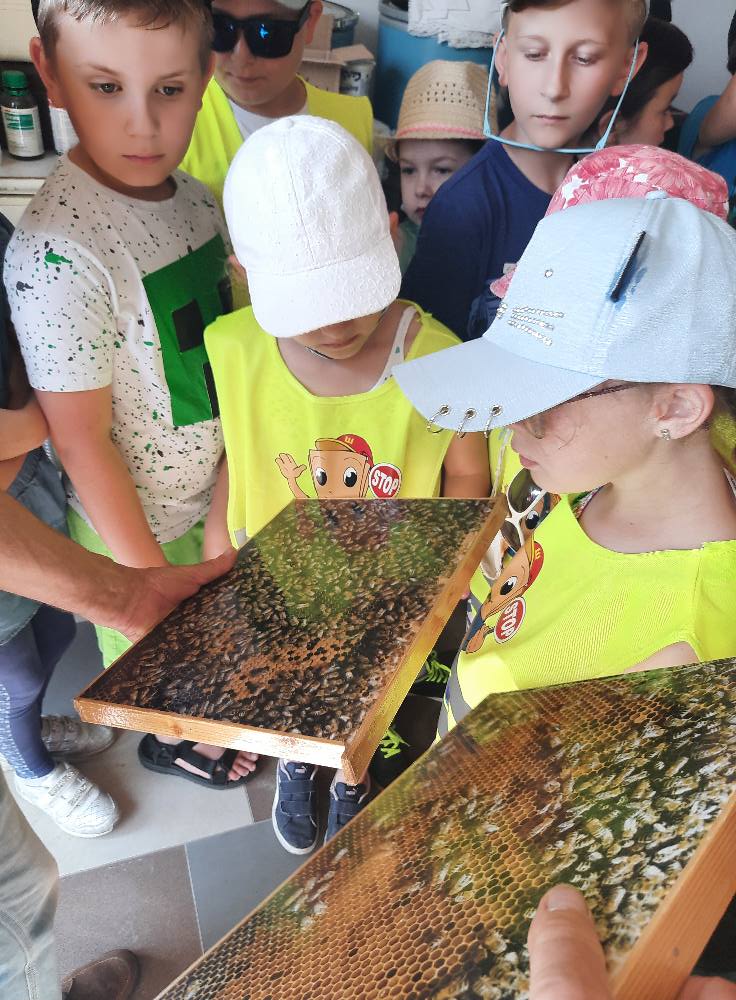 Dzieci z wizyta u pszczelarza